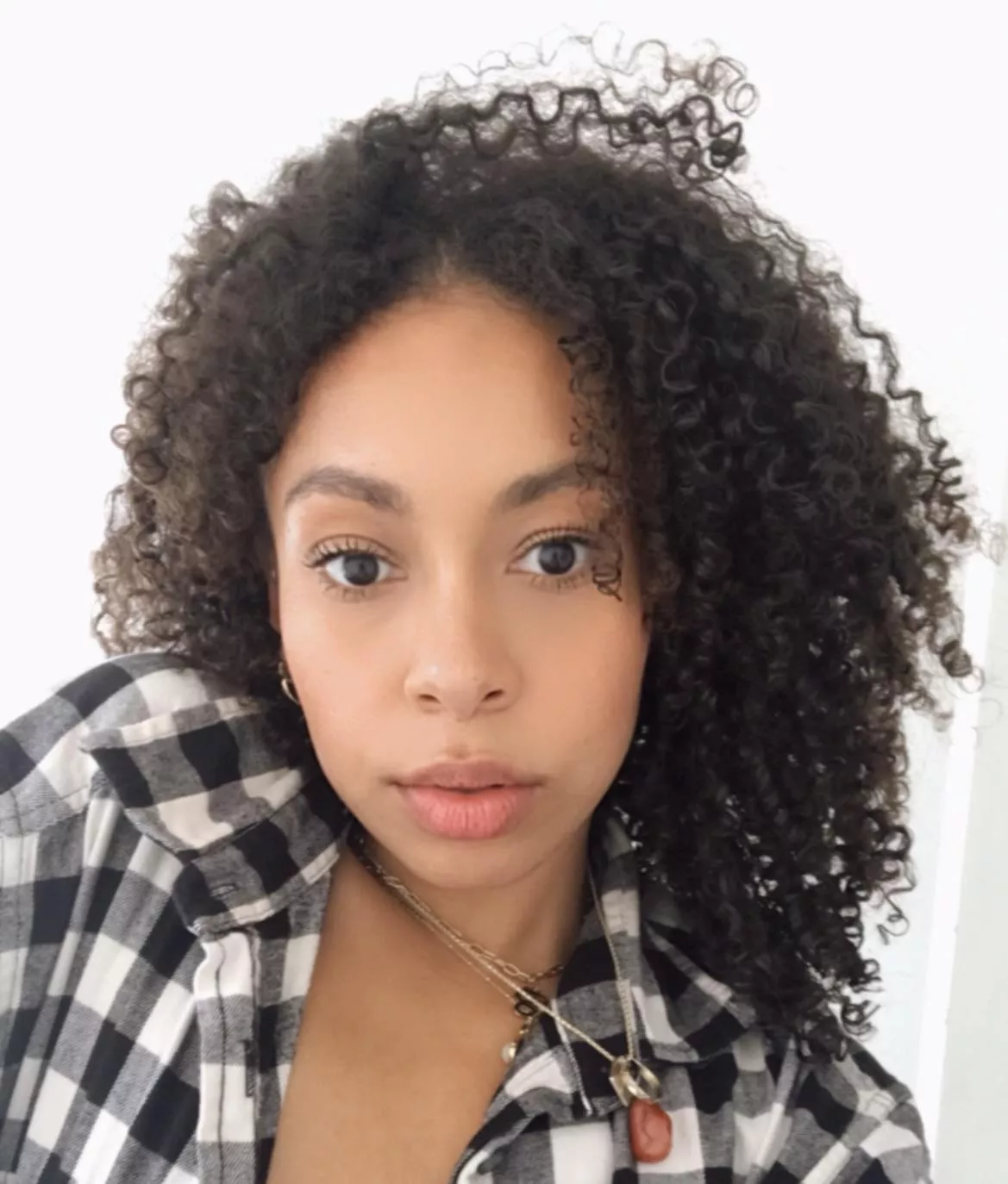 Fuck me if I’m wrong, but dinosaurs still exist right? posted by Misscharlierose