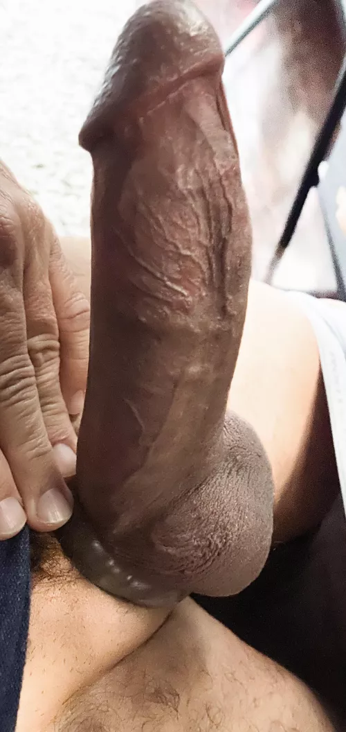 Fuck the taco this Tuesday, come feast on this 😈 by Bar_StarTx