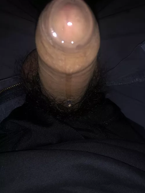 Fuckin lick it by saltycockfl