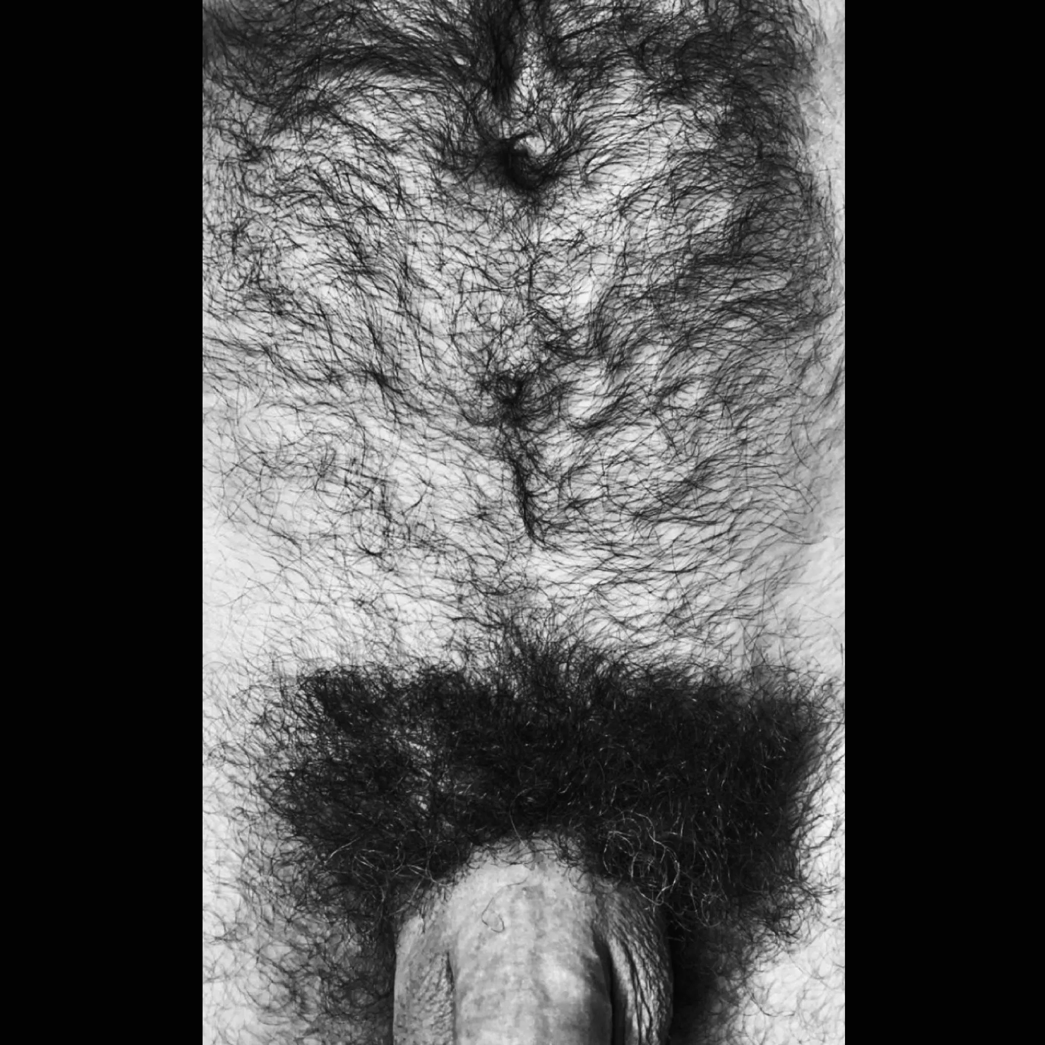 Full '70s pornstar bush. posted by jerseyjaxoff