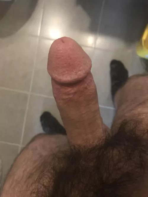 Full Bush by Freaksale