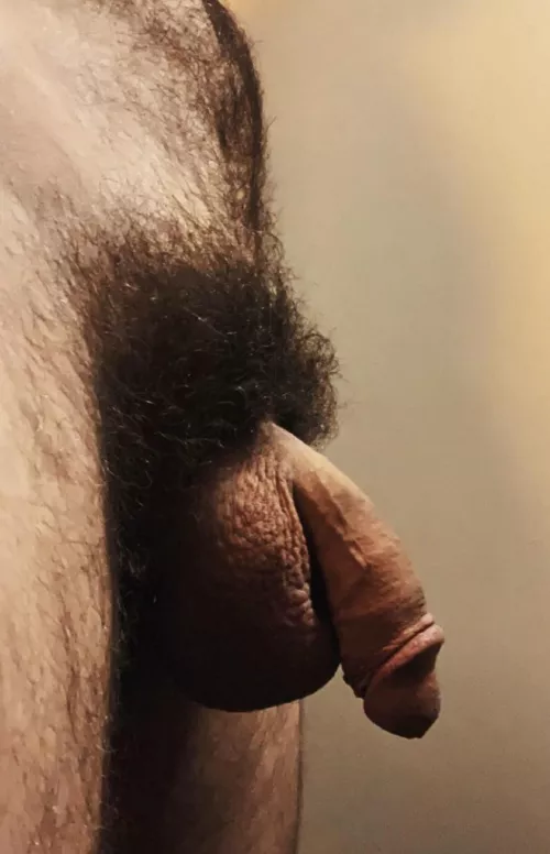 full bush + smooth nuts by jerseyjaxoff