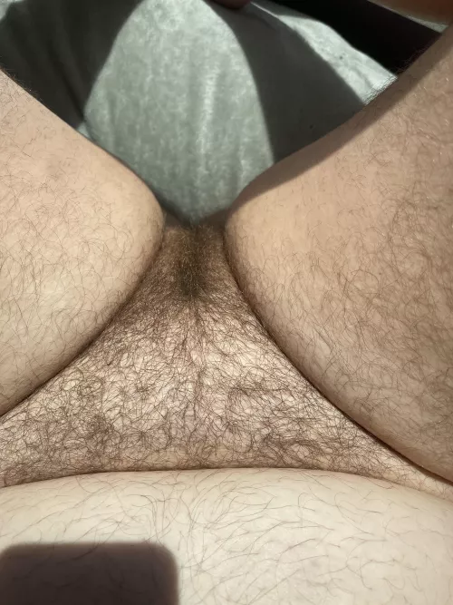 Fully hairy untamed bbw bush by naturenina69