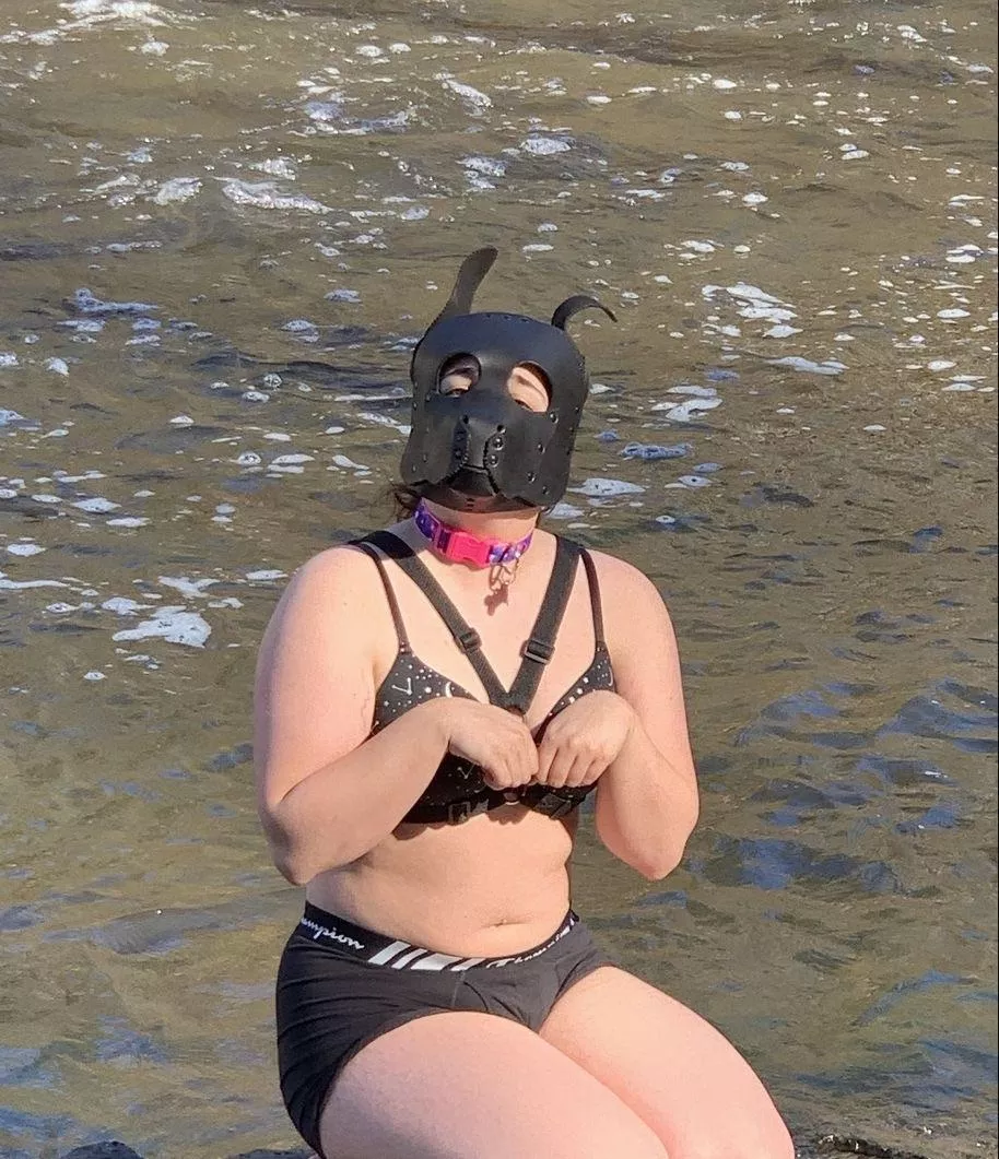 Fun walk posted by Dragonkwami