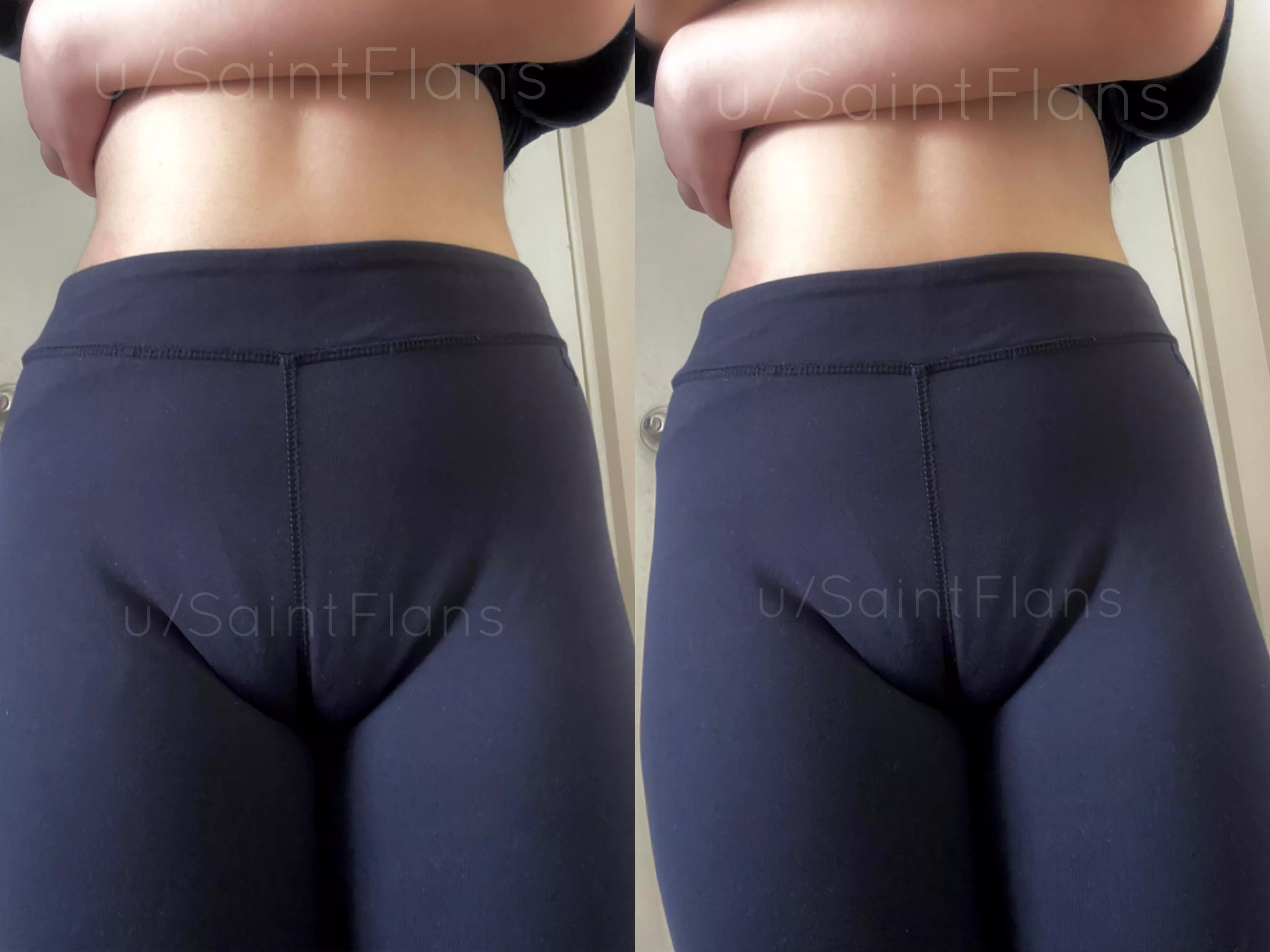 fur parents know the struggle 😩 posted by SaintFlans