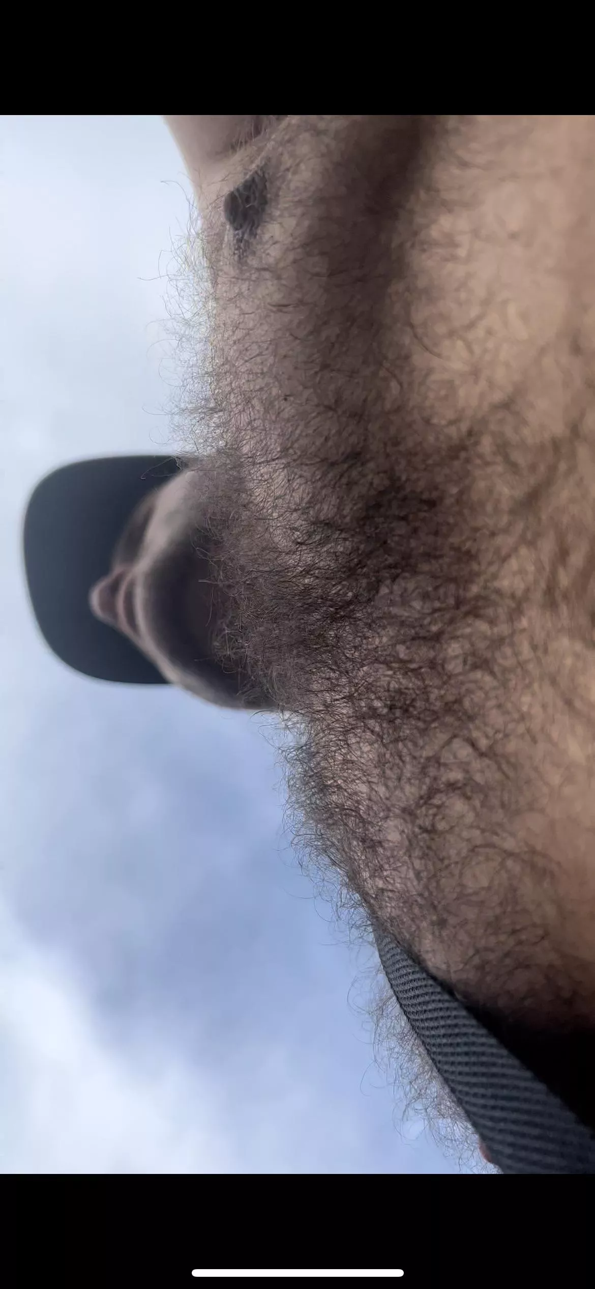 furry posted by Hairbair12