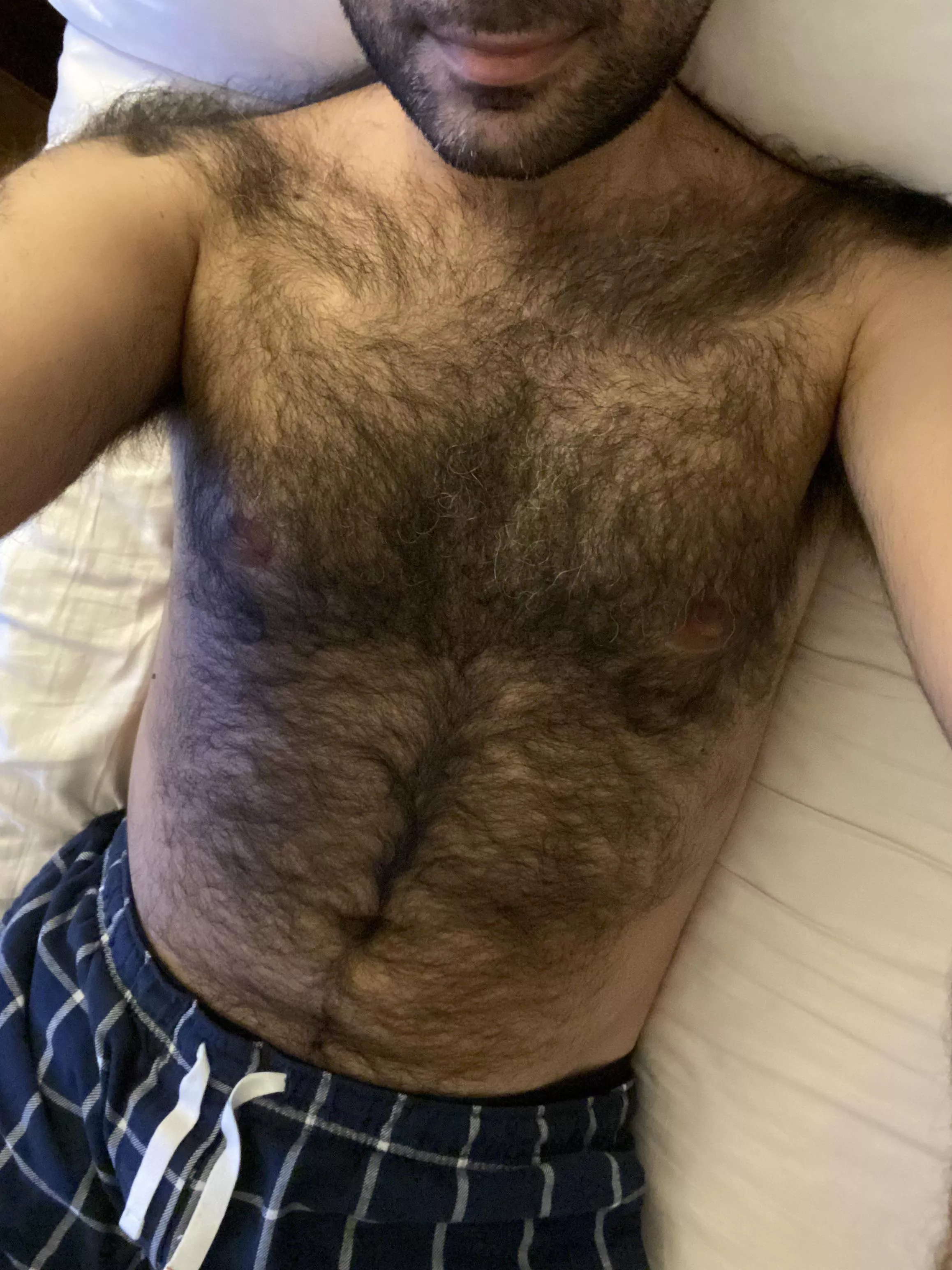 Furry all the way posted by Kingotter2022