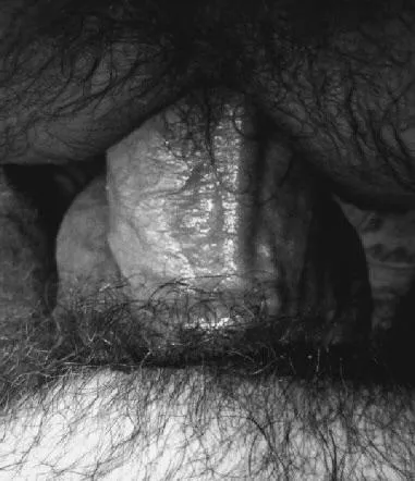 “Furry entry” … posted by neilfromsydney2003