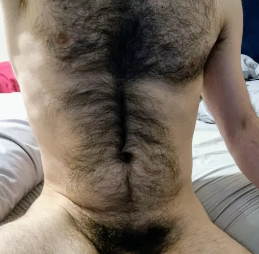 Furry night by highland-wolf