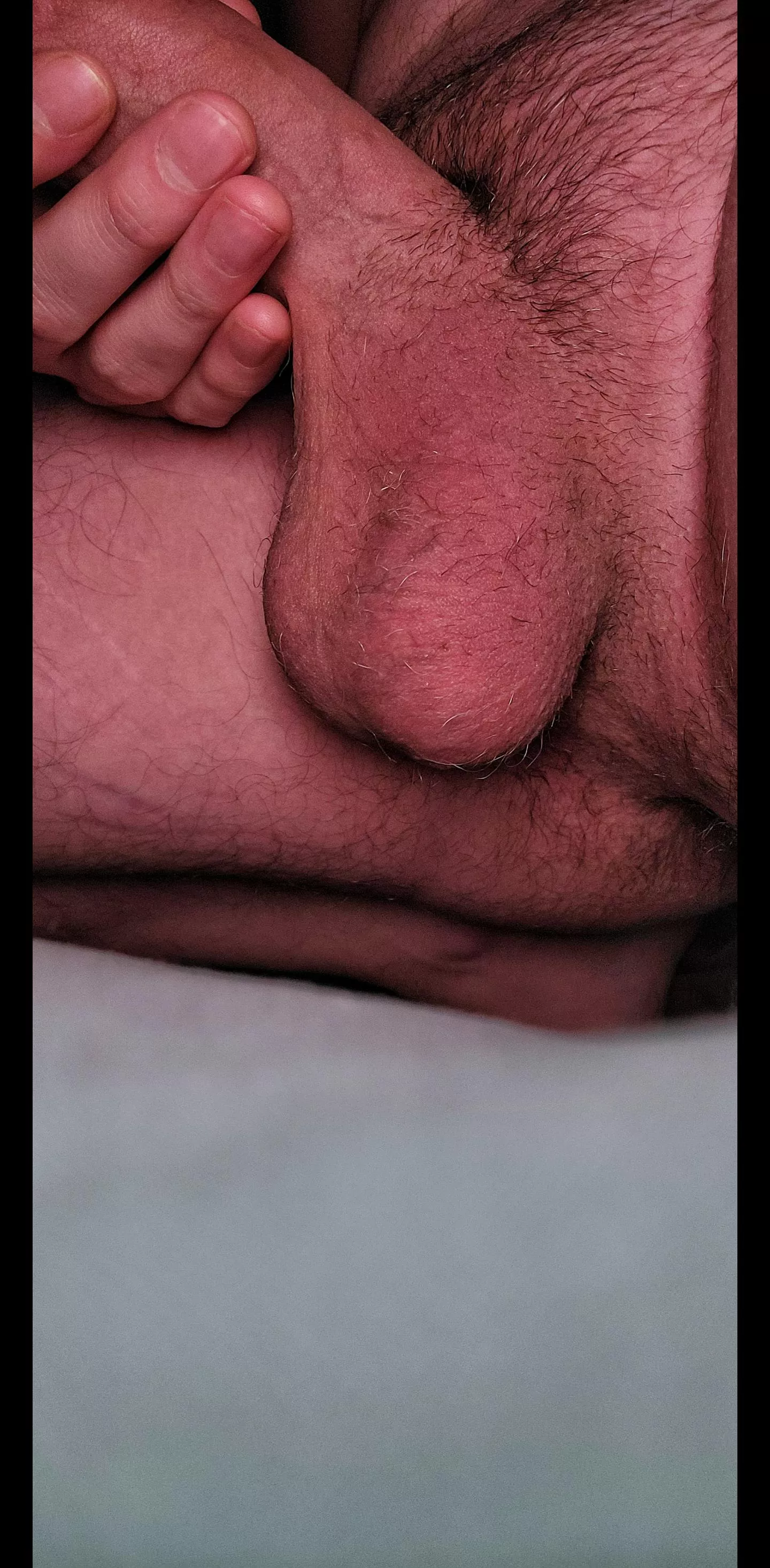 fuzzy all over posted by ThatOneNoodles