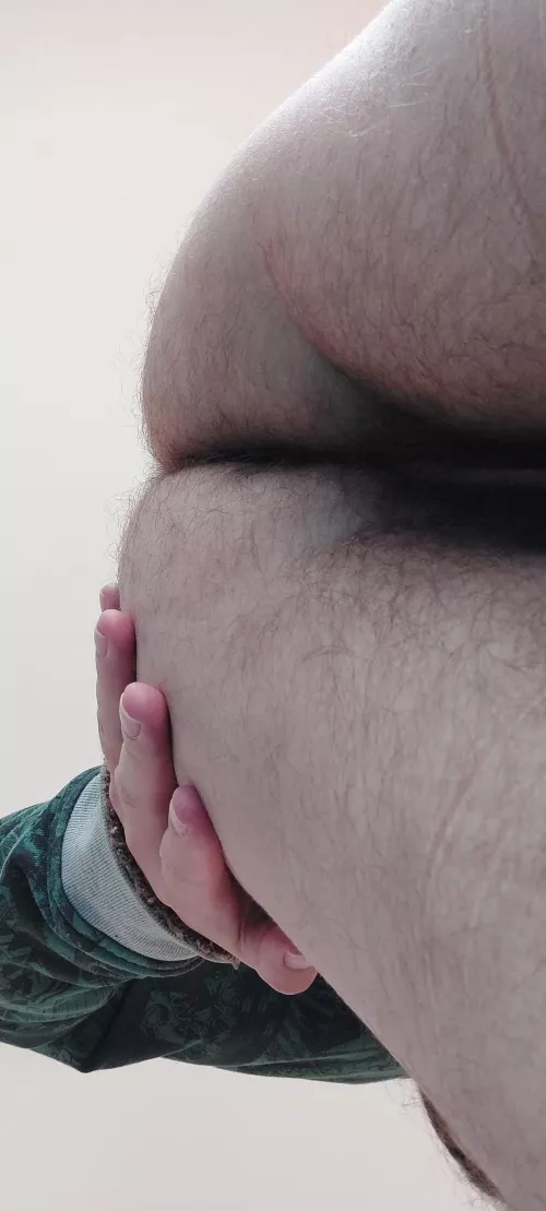 fuzzy and kinda plump in this pic by bottombear1984