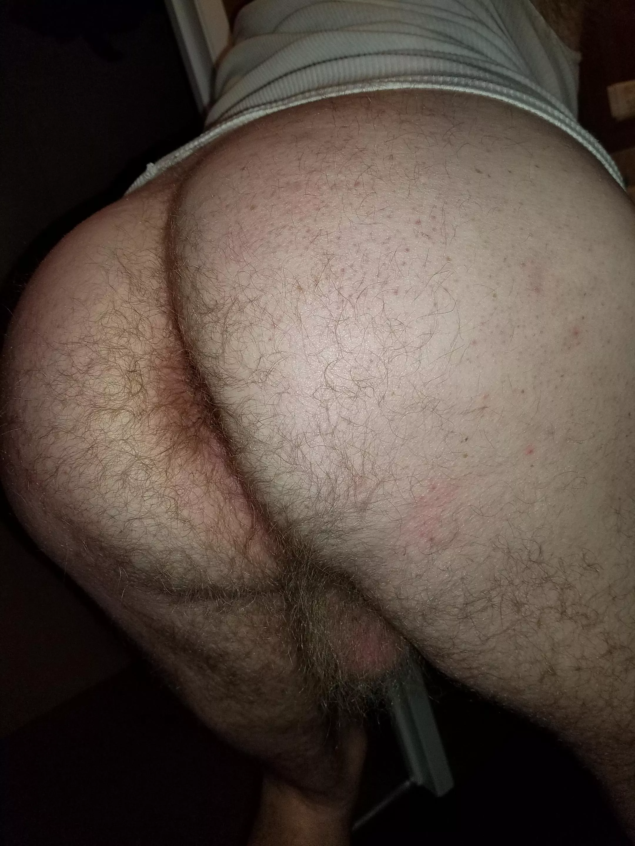 fuzzy bear butt and balls posted by PupNimrod