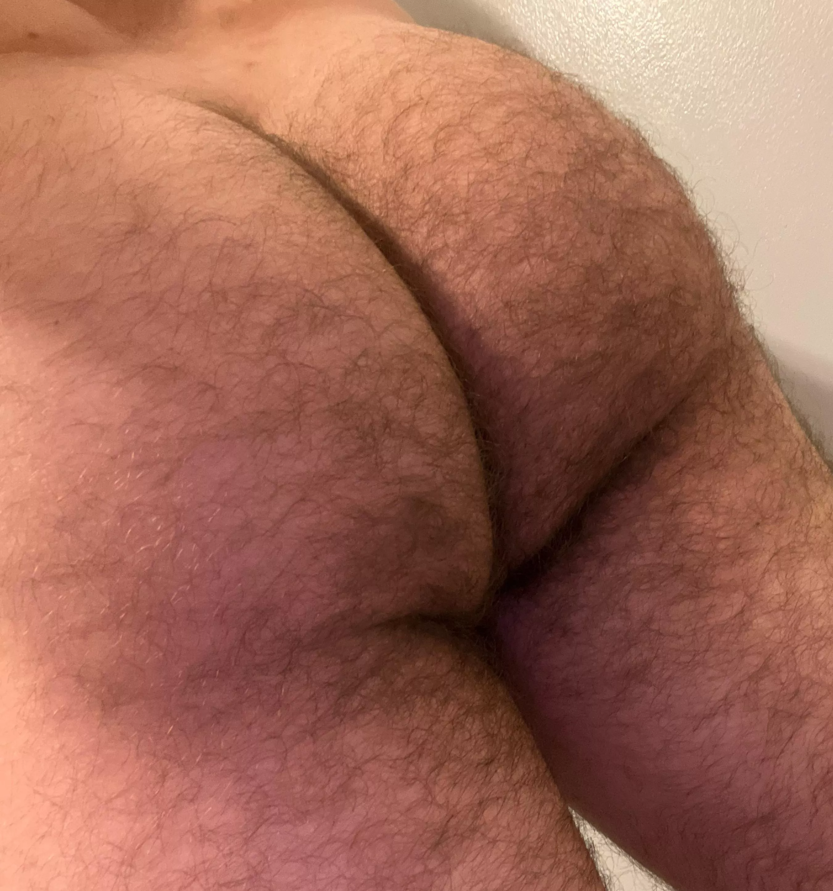 Fuzzy enough for you? posted by chaser_chasing