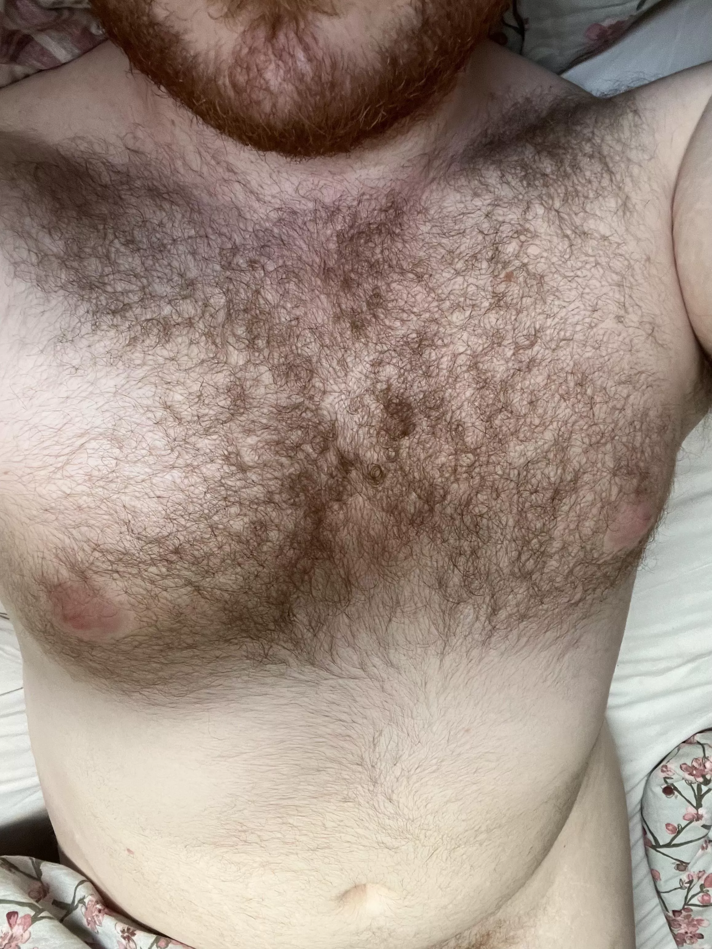 Fuzzy. posted by Ltntxty