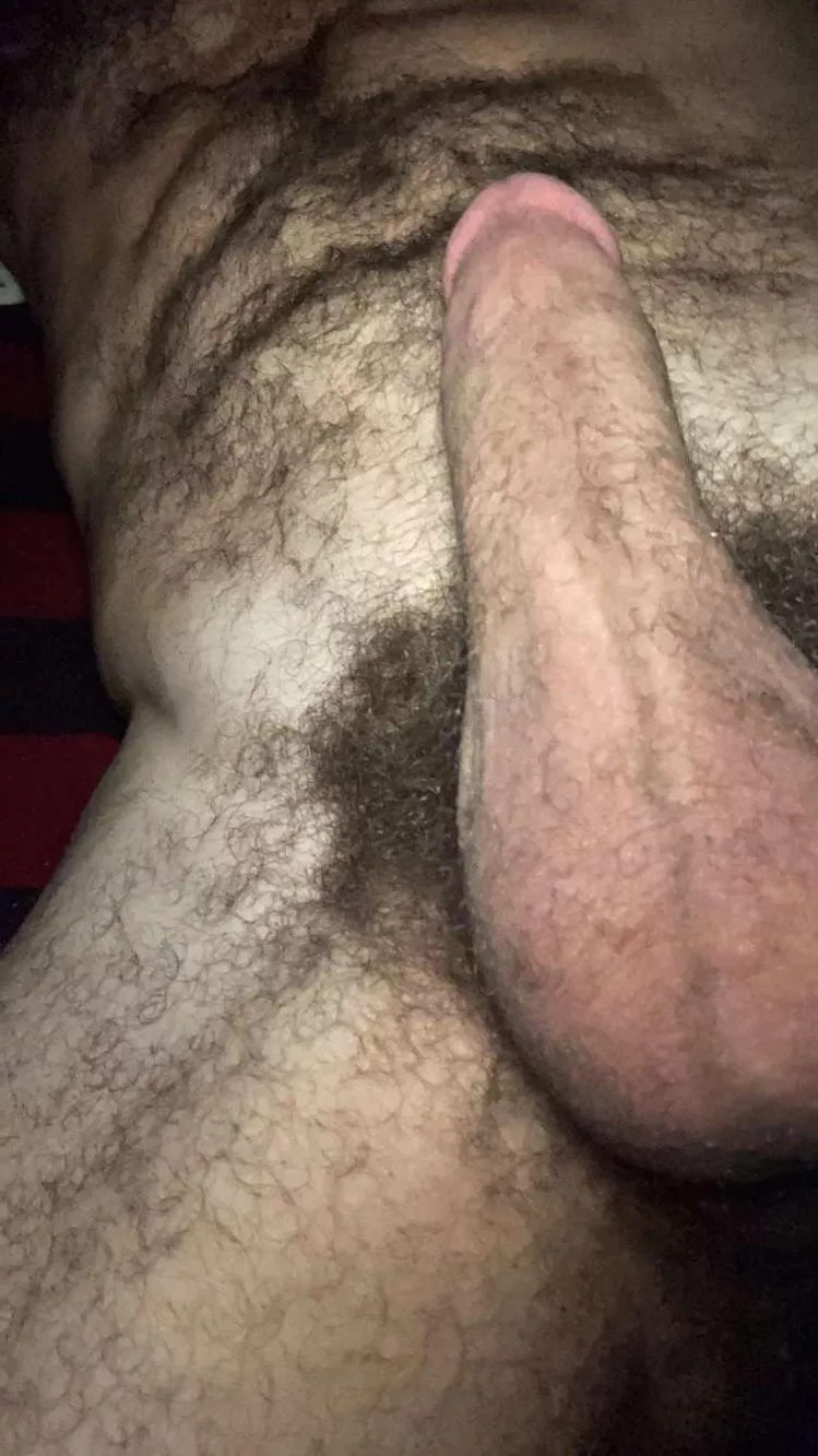 Fuzzy undulations posted by Murky_Jackfruit_254