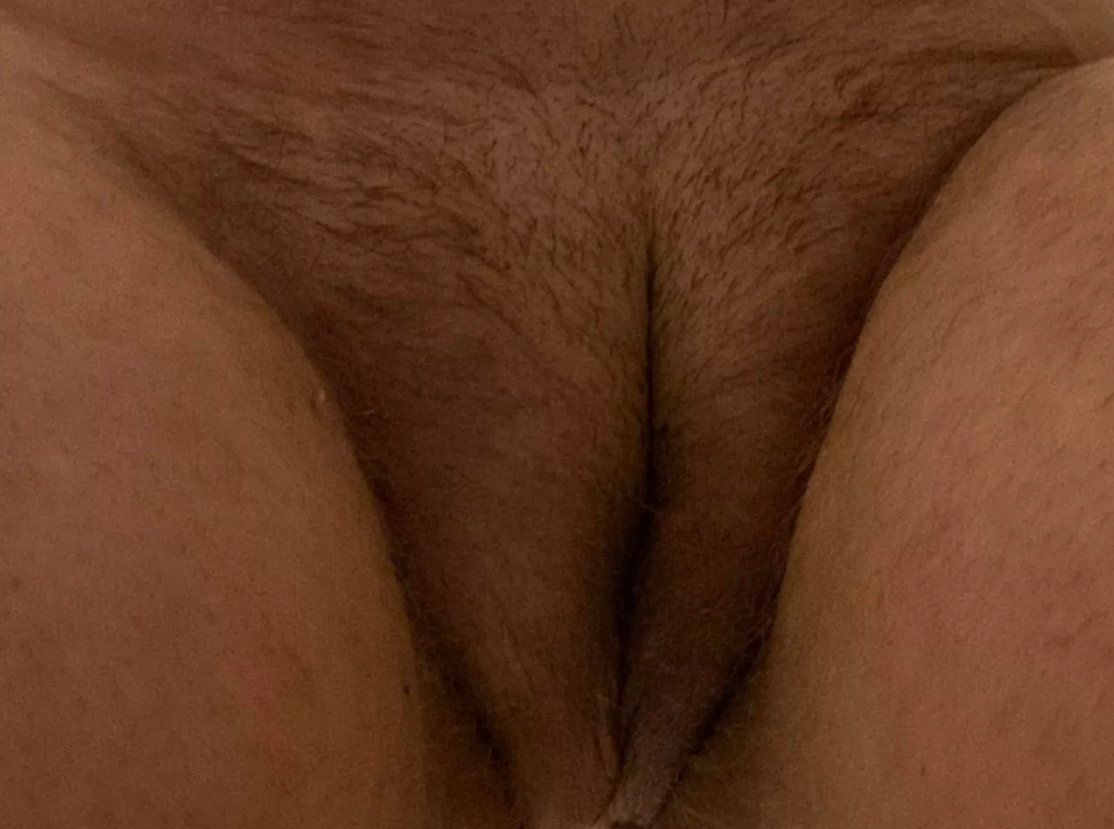 Fuzzy 🐱 posted by Aikawa_Yuki2