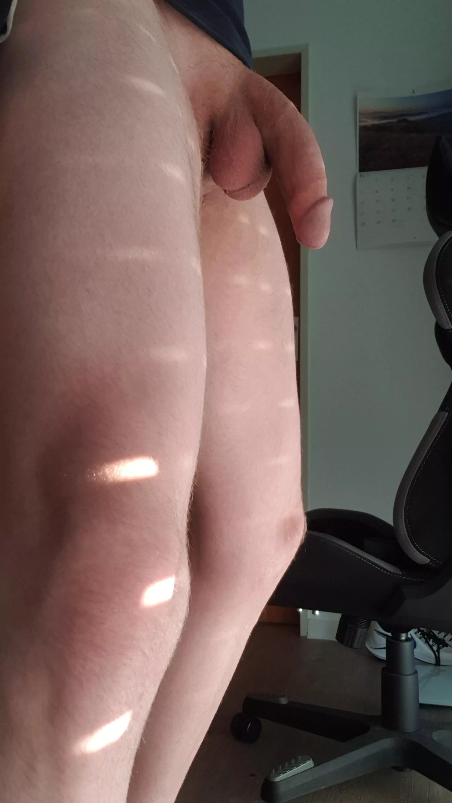 German cut cock ✌️ posted by TheShibEffect