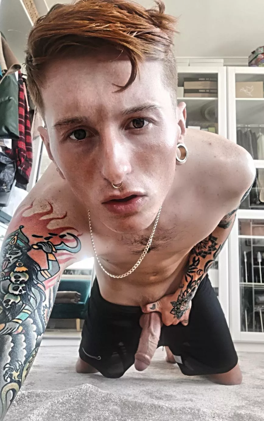 get down bitch posted by Axel_monstera