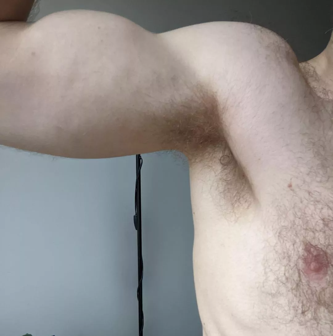 Get in that furry pit posted by responsive-banana