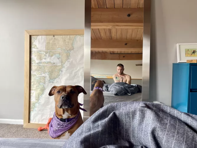 ‘Get outta bed, Dad’ - Monday mornings by alfieklein