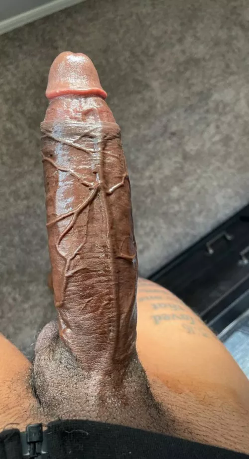 Get to work before i punish you 🍆 by jamieleigh1909