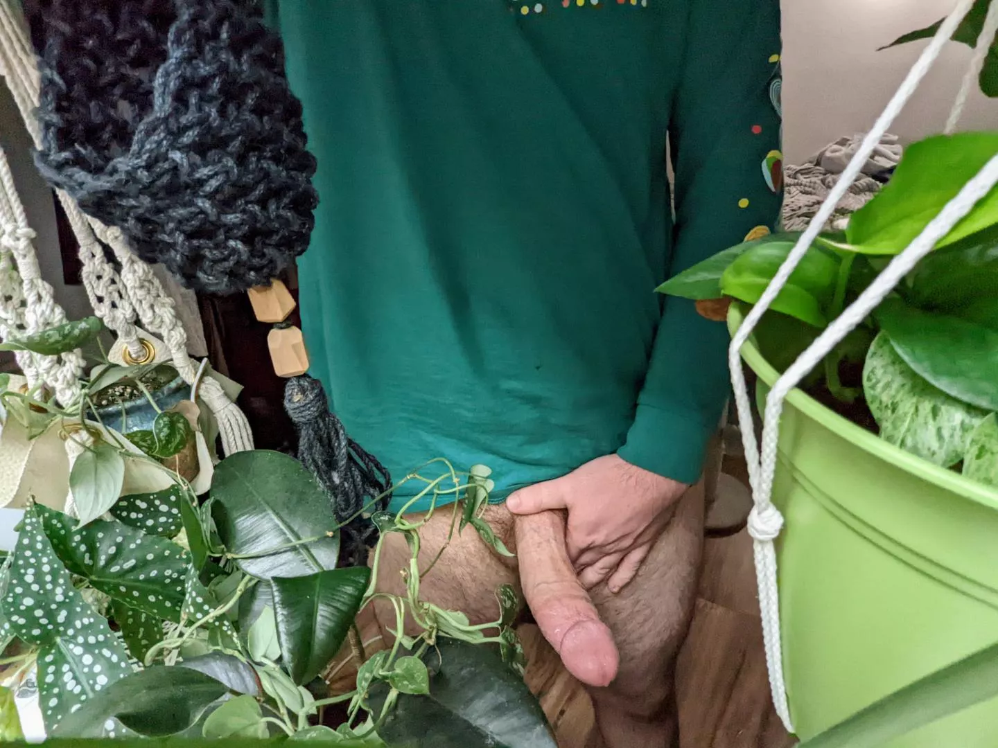 Get yourself a plant daddy 🌿 posted by Tallpalebearded