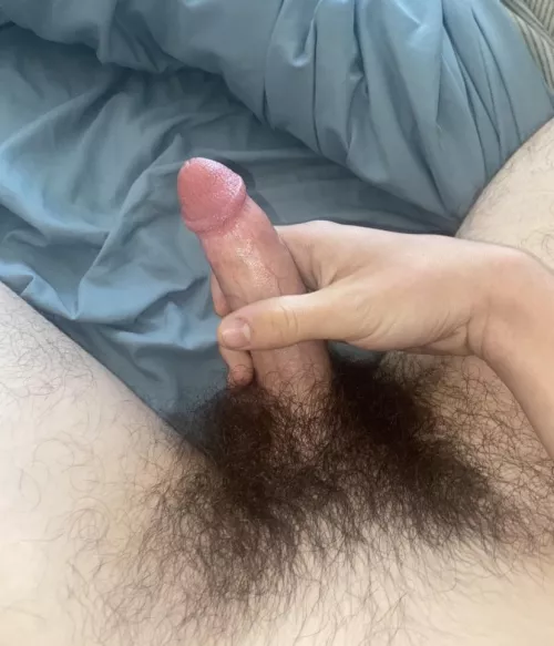 Getting pretty bushy these days by Junior-Air-3561