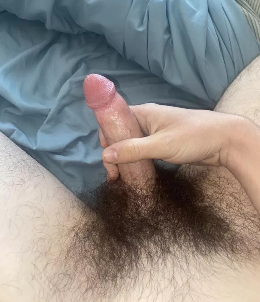 Getting pretty bushy these days posted by Junior-Air-3561