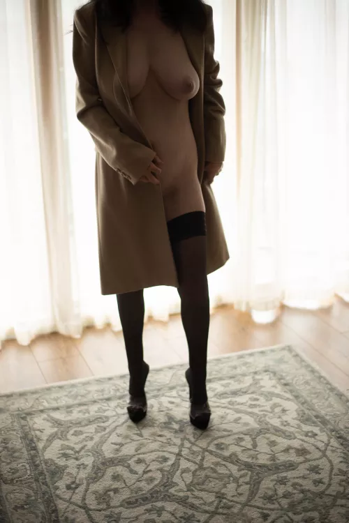 Getting ready obr Autumn. by internetrow