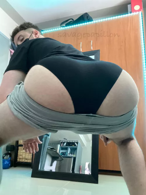 Getting so big, bro by SavagePapillon