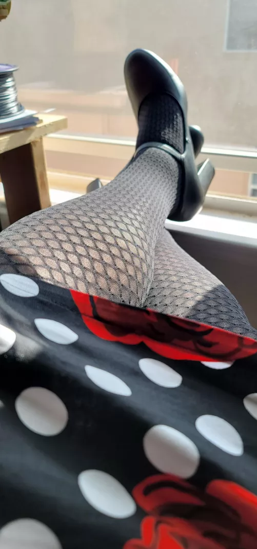 Getting some sun! by Addison0618