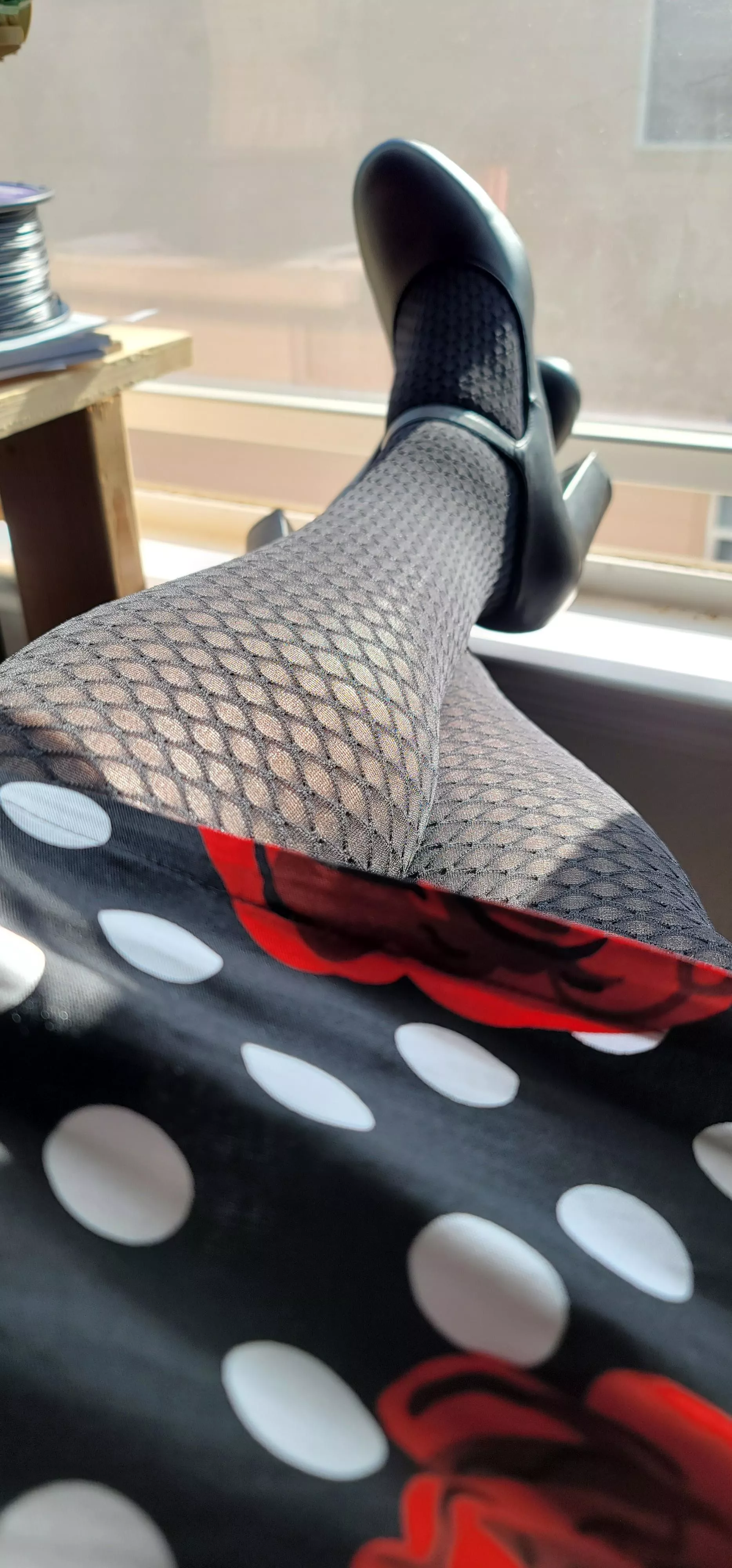 Getting some sun! posted by Addison0618