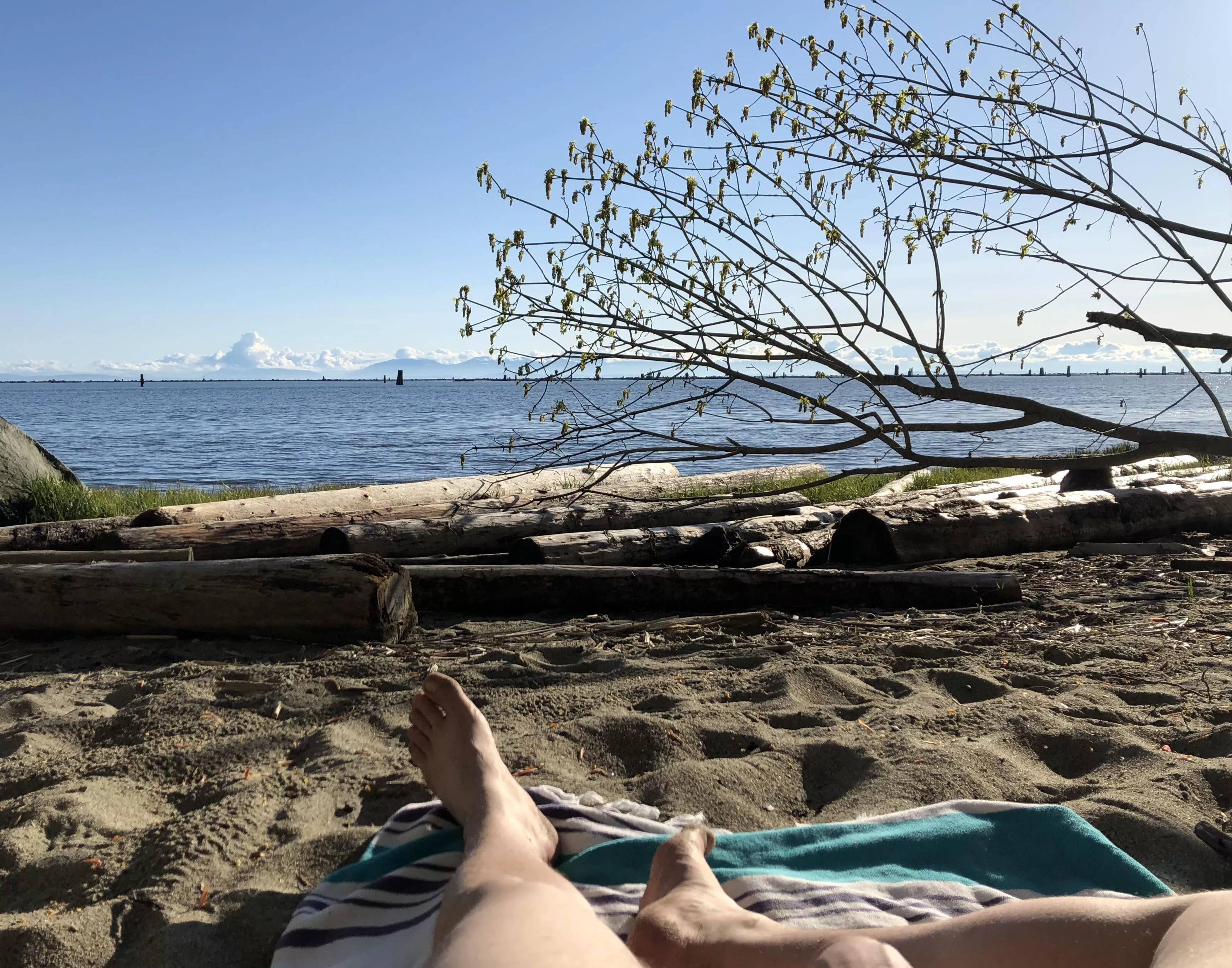 Getting some Vitamin D all over posted by archie_vanc