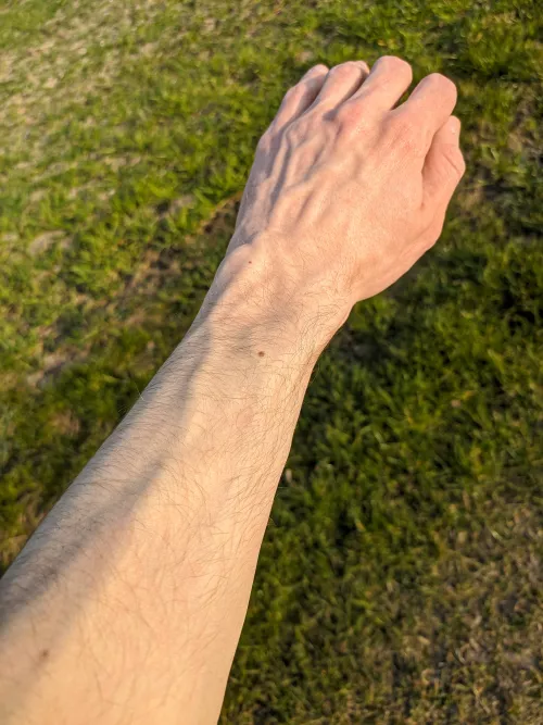 Getting some Vitamin D for the Pipes! by TilmitderBrill