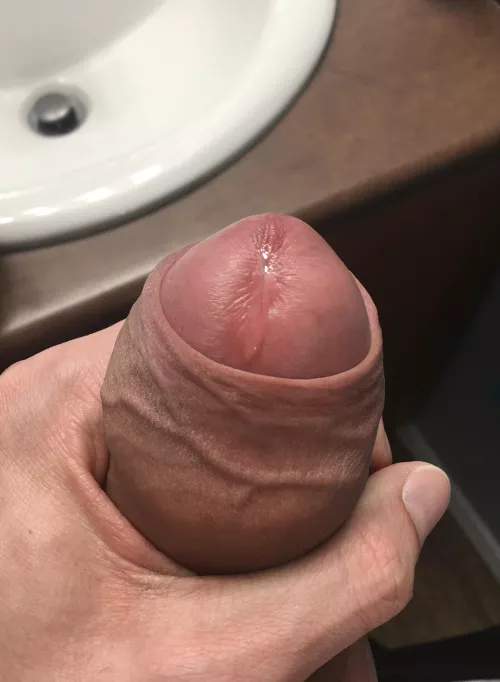 Getting started by Vikinman