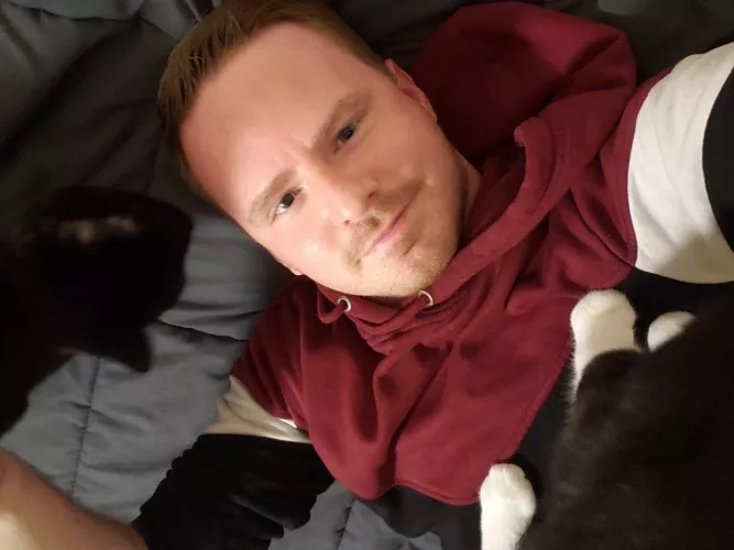 Getting swarmed is the best part of coming home from work by xelhes05