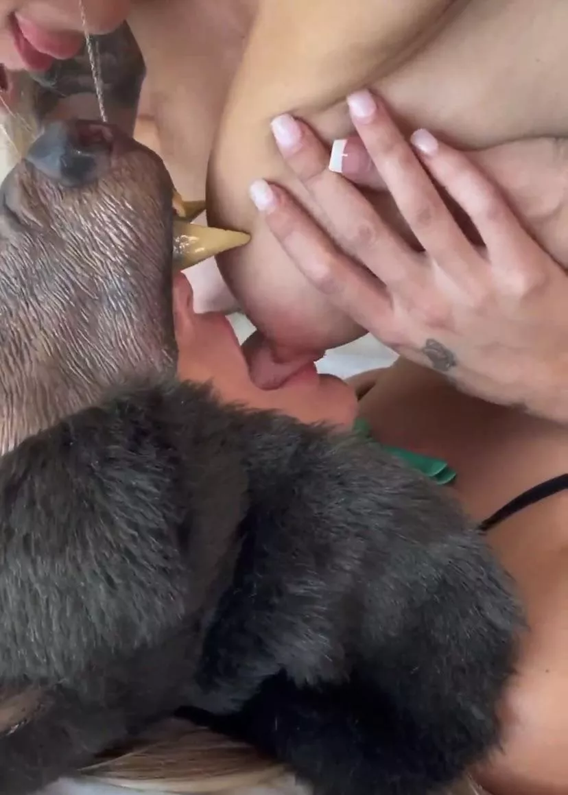 Getting wild posted by nochediente