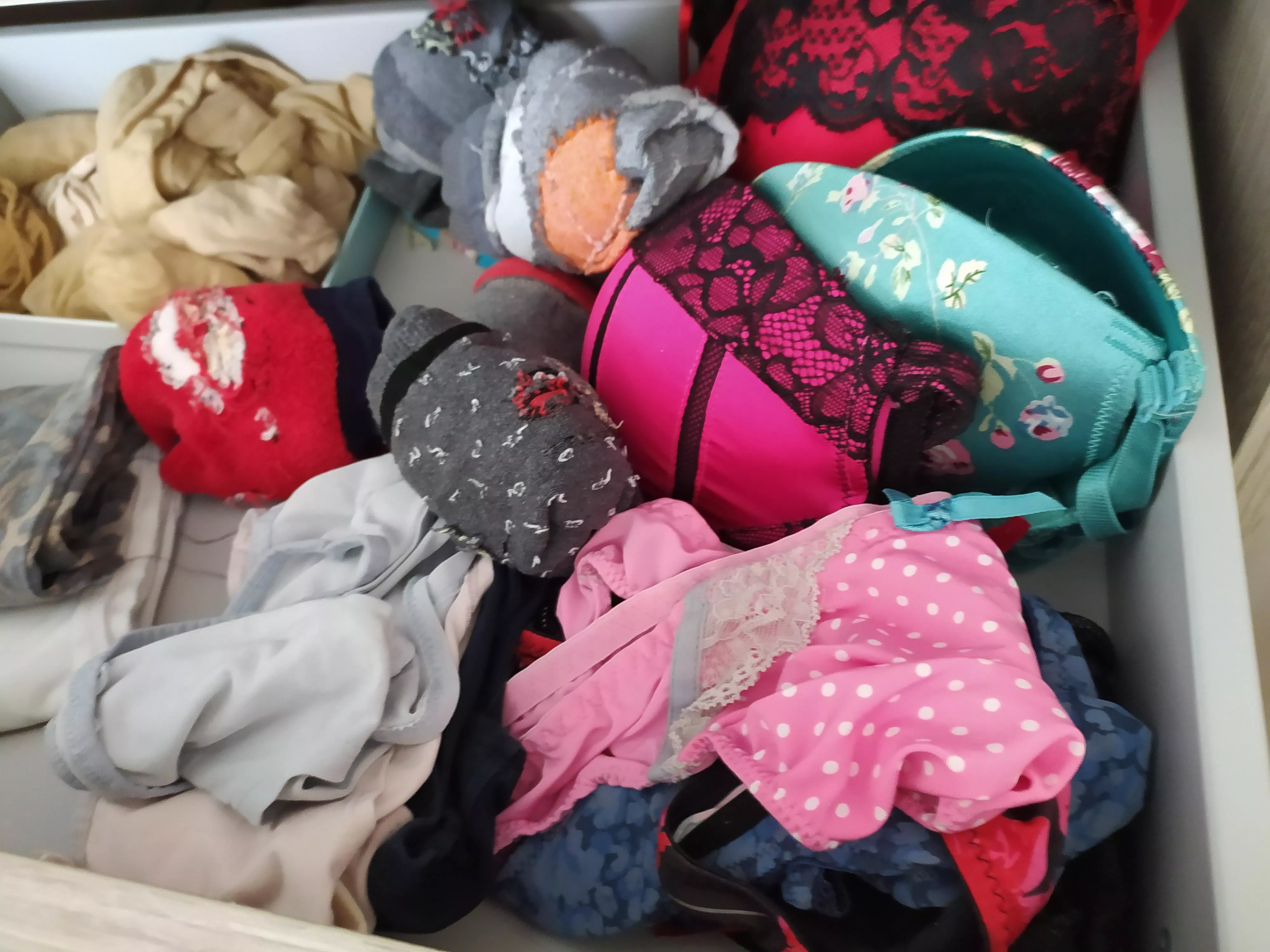 Gfs posted by These_Standard_4890