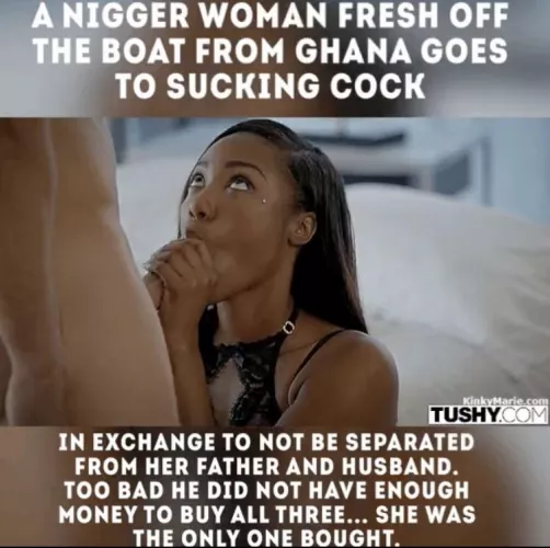 Ghana monkey 🐒 🇬🇭 by ayoayo40