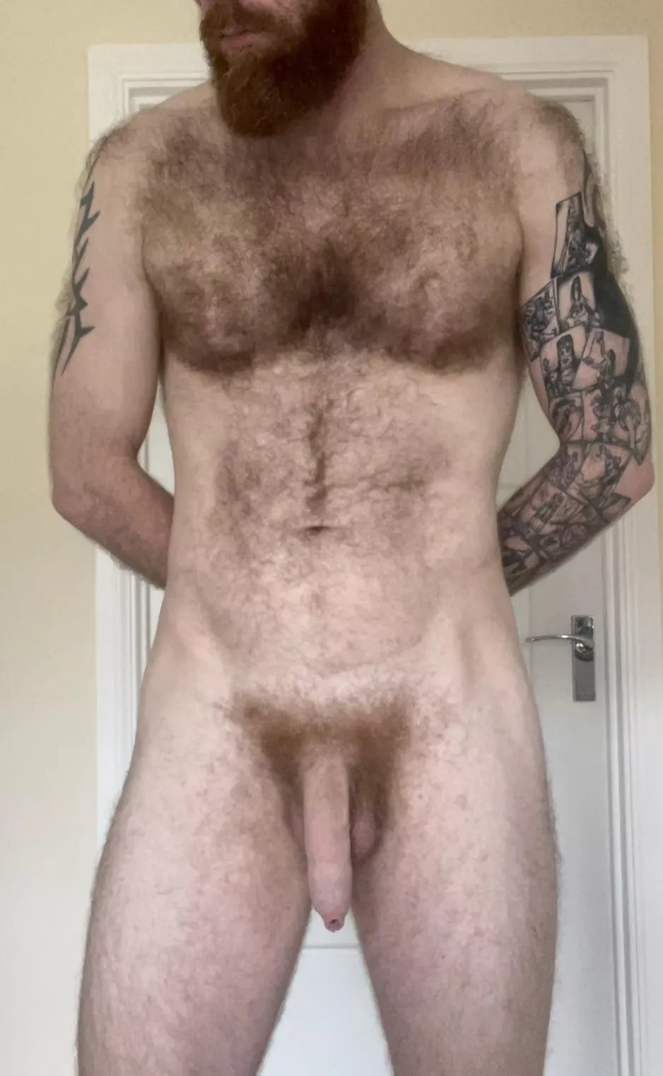 Ginger alpha hairy daddy!!! Come and say hello 👋🏼 posted by gbrad1983