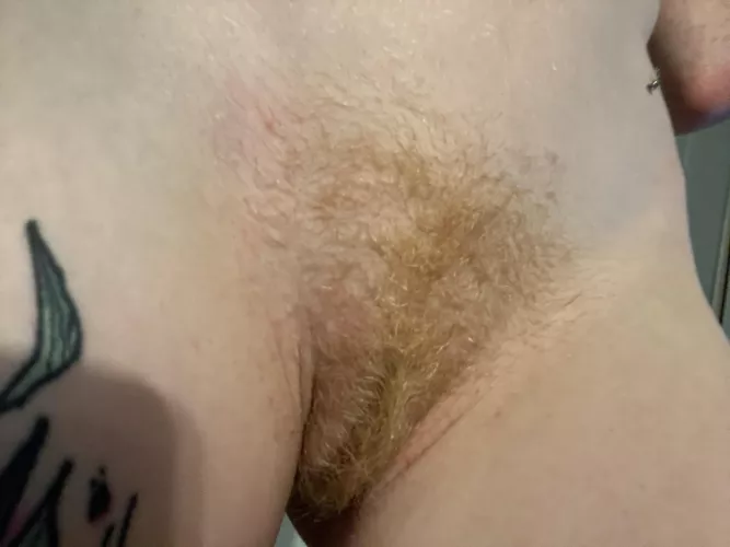 Ginger bush by mushroomtriq