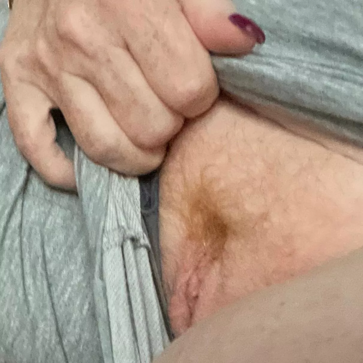 Ginger bush posted by robstark2021