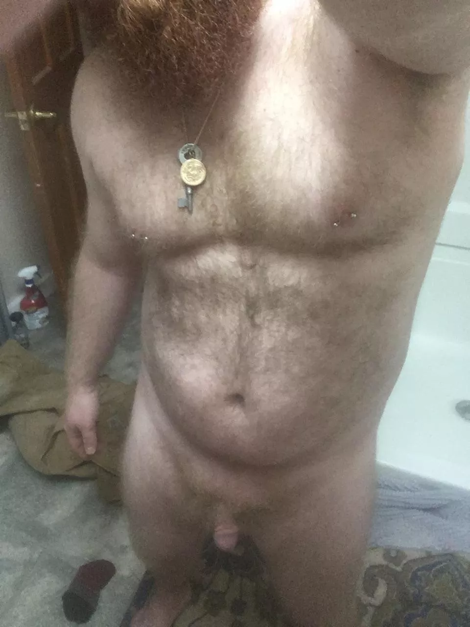 Ginger Cubby appears!!! posted by Tytyhorny