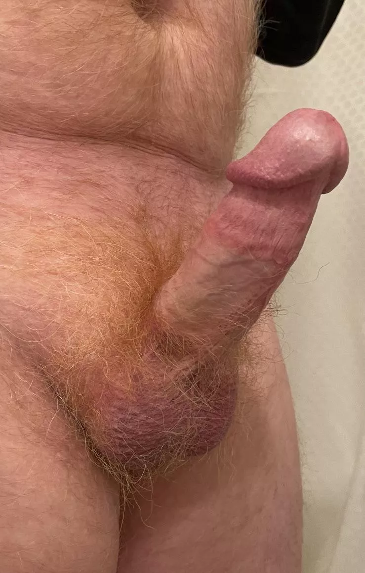 Ginger cut cock posted by Lkggood50