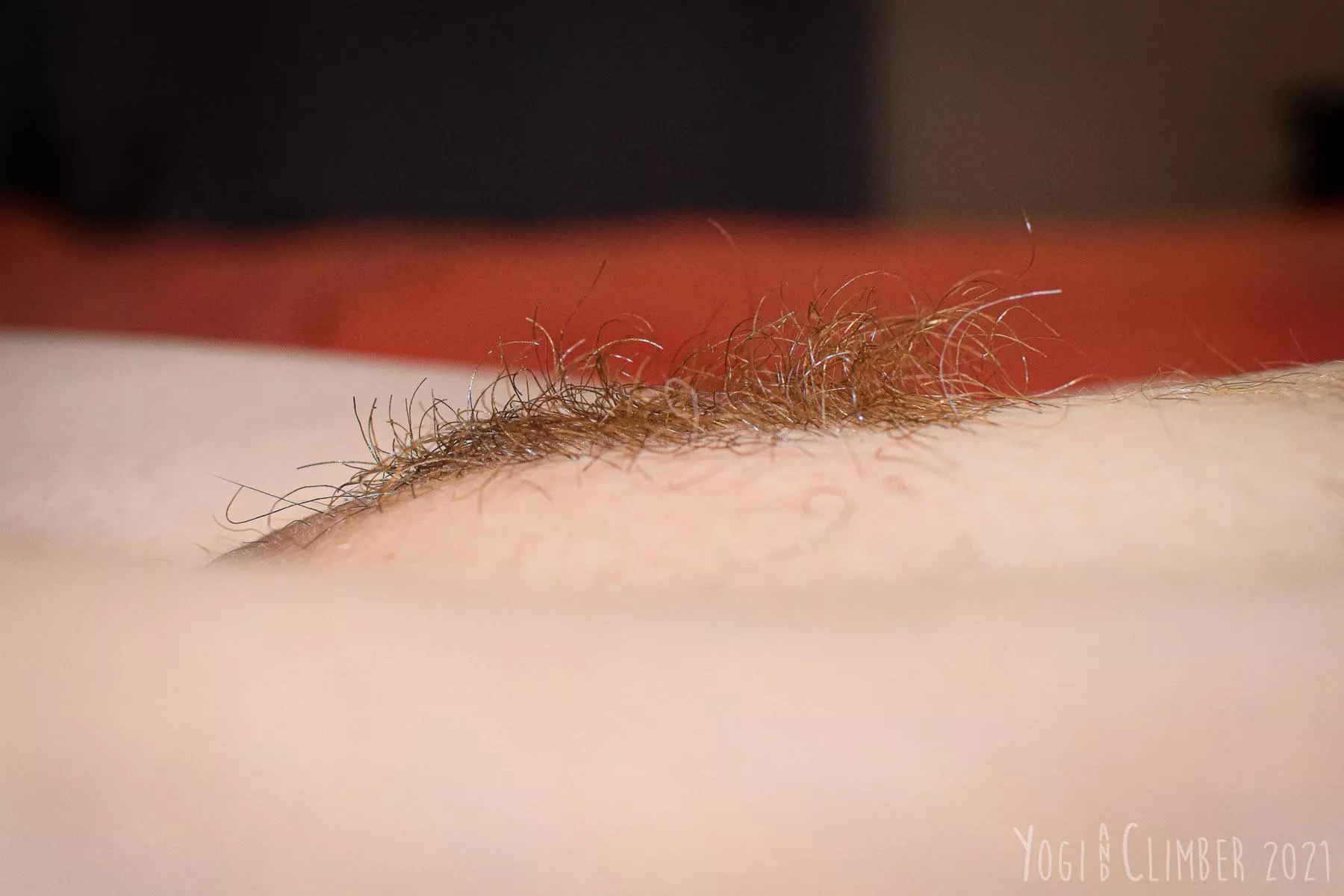 Ginger landscape posted by YogiandClimber