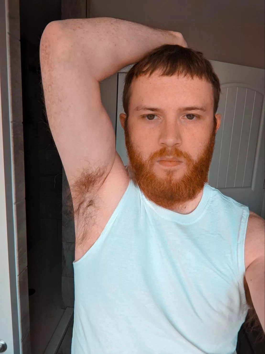 ginger pits posted by logcar26