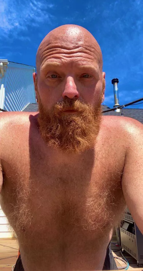 Ginger Spring! by robertsmythe1122