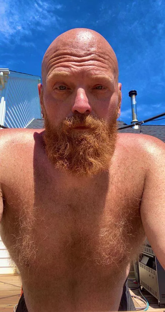 Ginger Spring! posted by robertsmythe1122