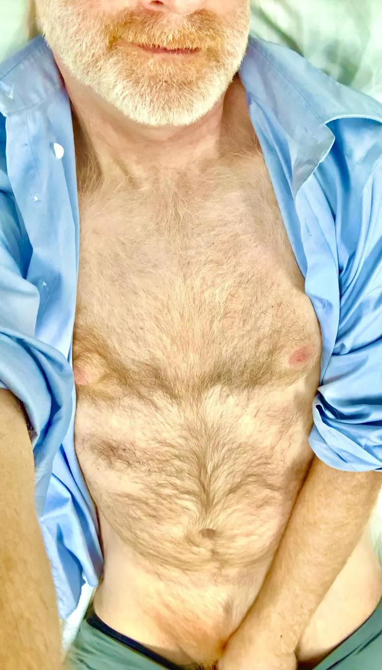 Ginger through and through. posted by ZelaznyFan68