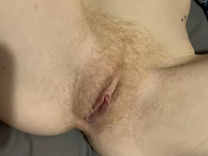 Ginger treat by mushroomtriq